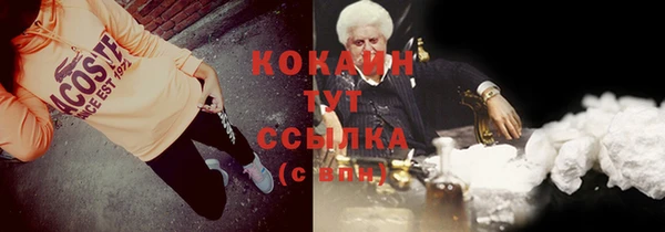 прущие грибы Алексин
