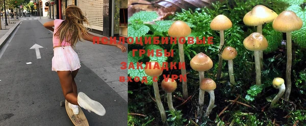 каннабис Алексеевка
