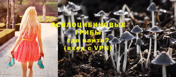 прущая мука Алзамай