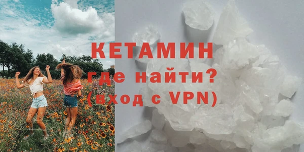 прущие грибы Алексин