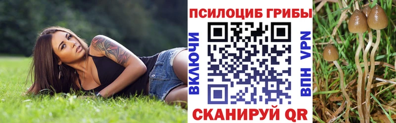 Псилоцибиновые грибы мицелий  Орлов 