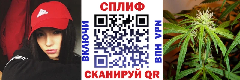 Шишки марихуана ГИДРОПОН наркошоп Орлов